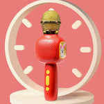 Handheld Microphone Toy