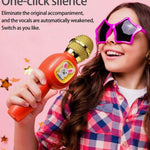 Handheld Microphone Toy